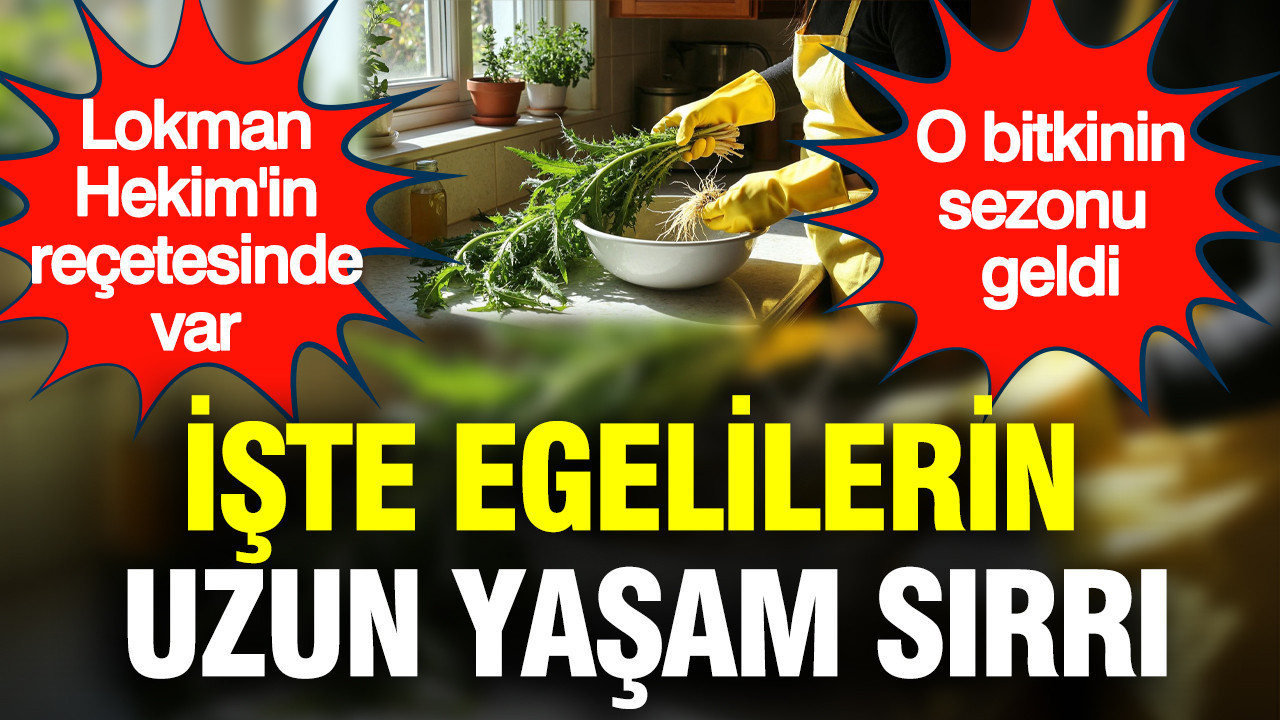 İşte uzun yaşam sırrı: Lokman Hekim'in reçetesinde var