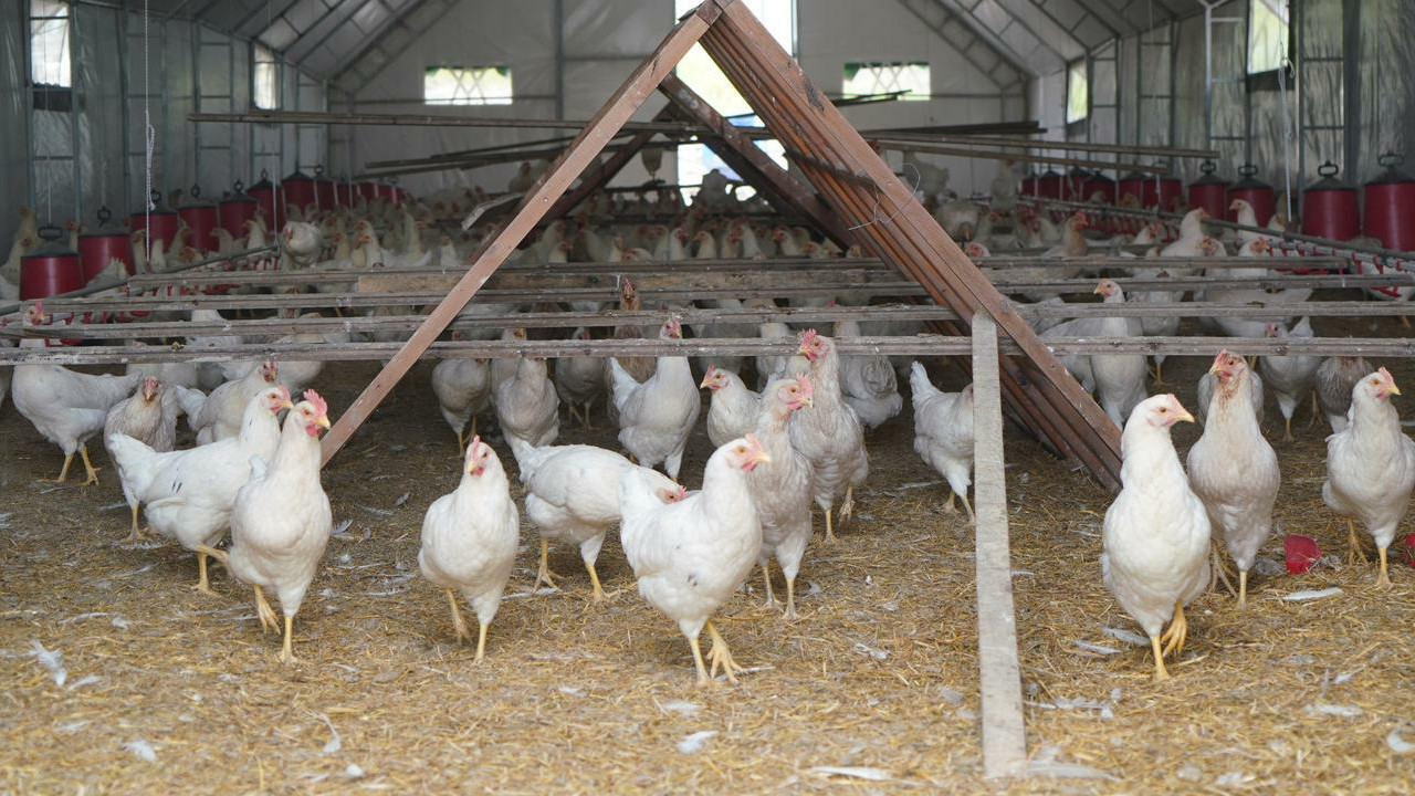 Adıyaman’da üretim seferberliği: 