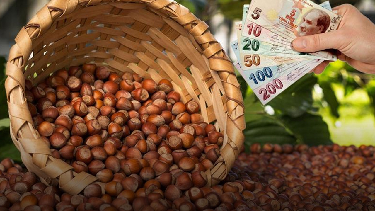 Fındık ihracatı uçuşta: 4 ayda gelir 987 milyon doları aştı