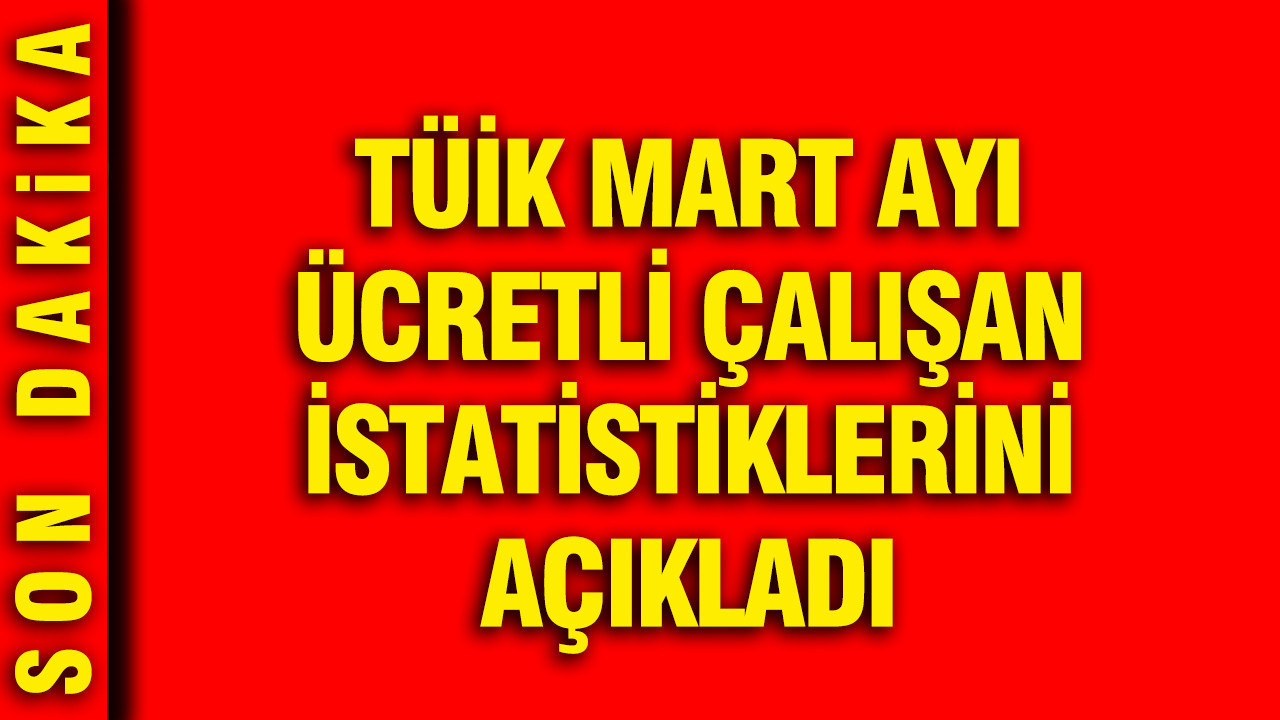 TÜİK Mart ayı ücretli çalışan istatistiklerini açıkladı