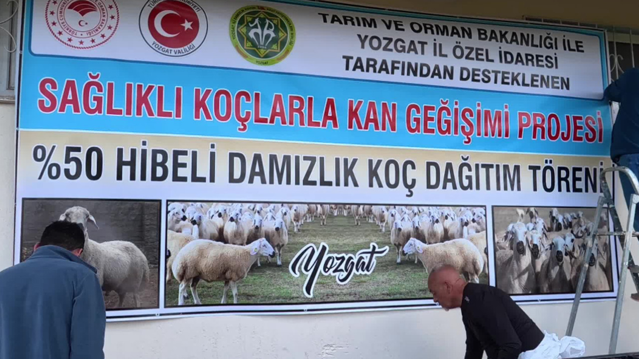 Yozgat'ta küçükbaş hayvancılıkta verimi artıracak 