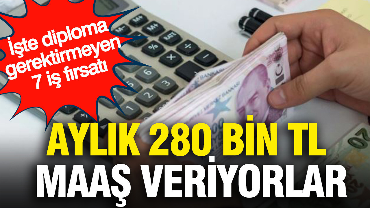 Aylık 280 bin TL maaş veriyorlar: İşte diploma gerektirmeyen 7 iş fırsatı