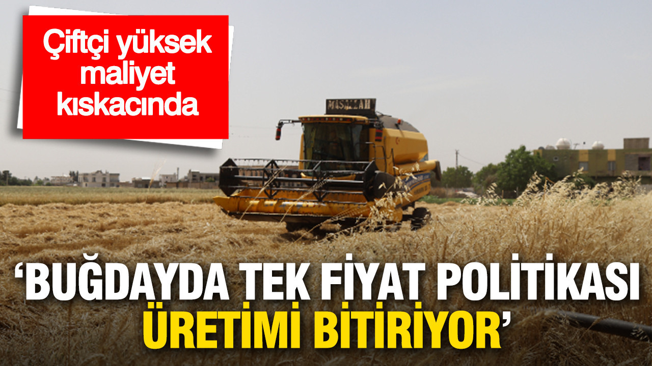 Çiftçi yüksek maliyet kıskacında: 'Buğdayda tek fiyat politikası üretimi bitiriyor'