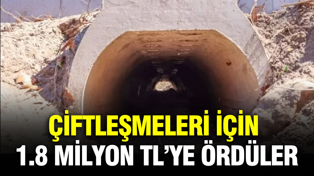 Çiftleşmeleri için 1.8 milyon TL’ye alt geçit ördüler
