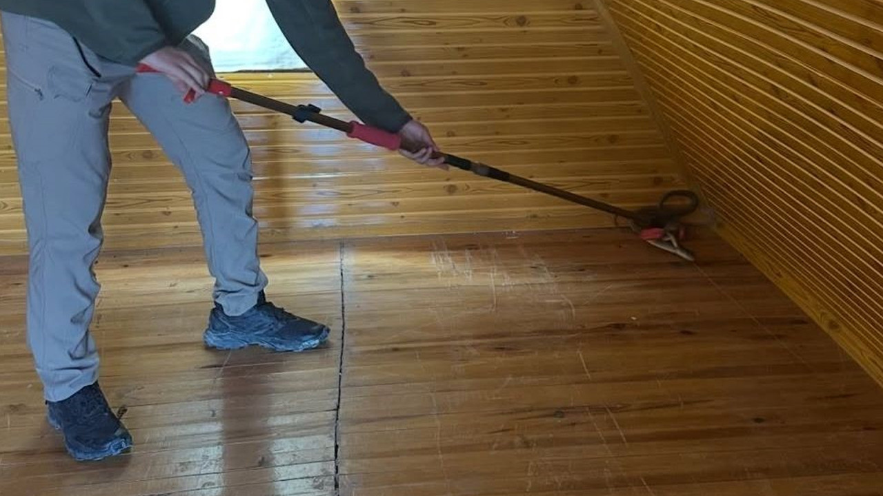 Eve giren ’Hazer yılanı’ doğaya salındı