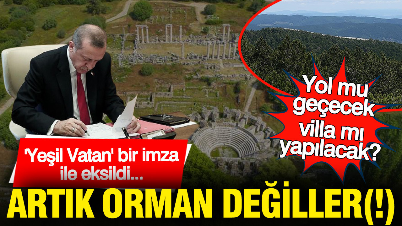 'Yeşil Vatan' bir imza ile eksildi: Artık orman değiller