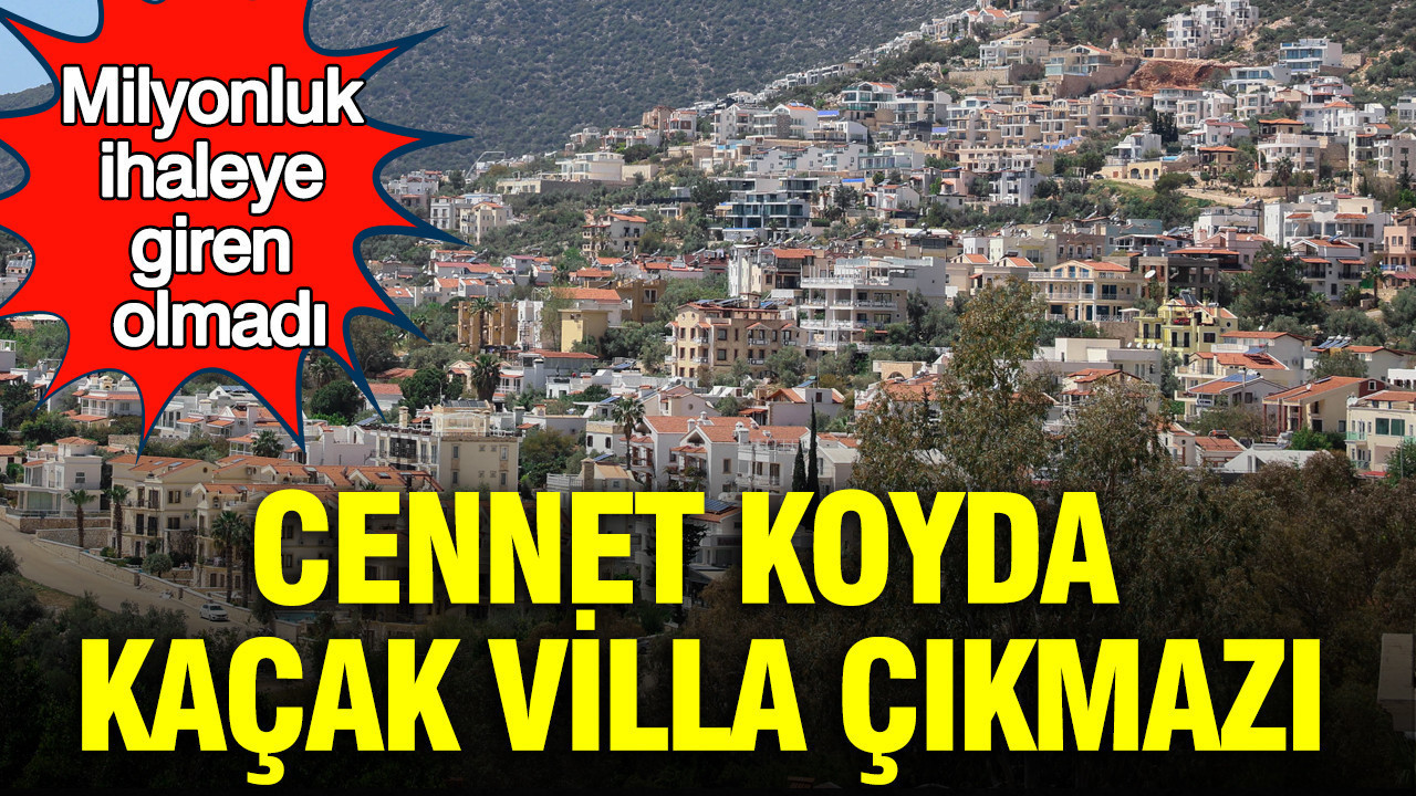 Cennet koyda kaçak villa çıkmazı: Milyonluk ihaleye giren olmadı