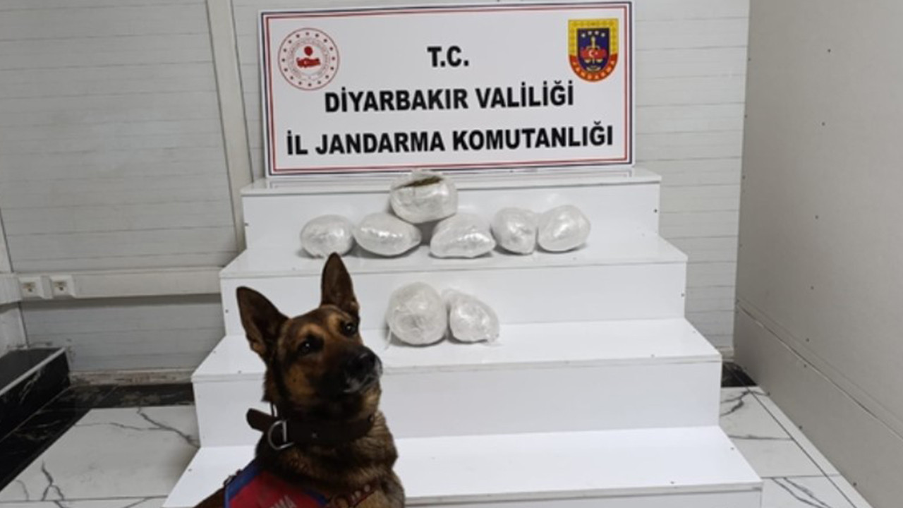 Diyarbakır'da narkotik operasyonu: 150 şüpheli hakkında yasal işlem