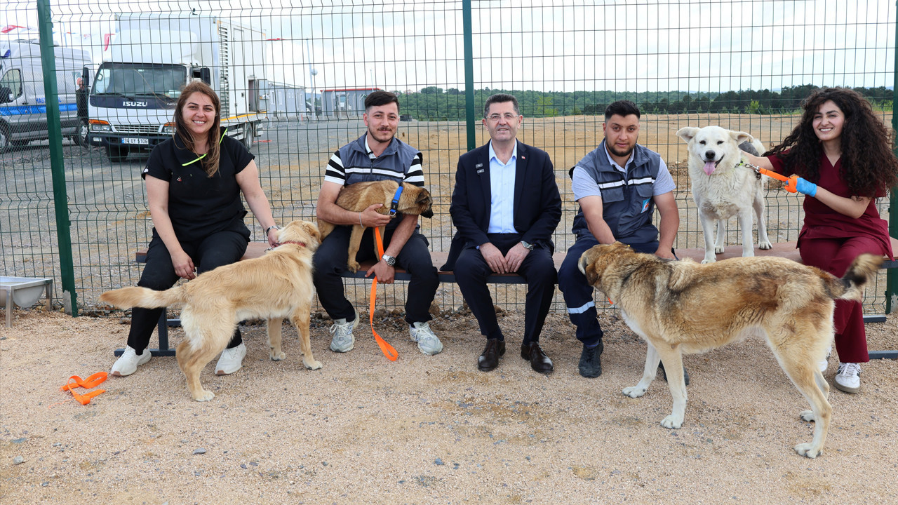 Ömerli’de sevinç gözyaşları: Yeni sahipleriyle buluştular