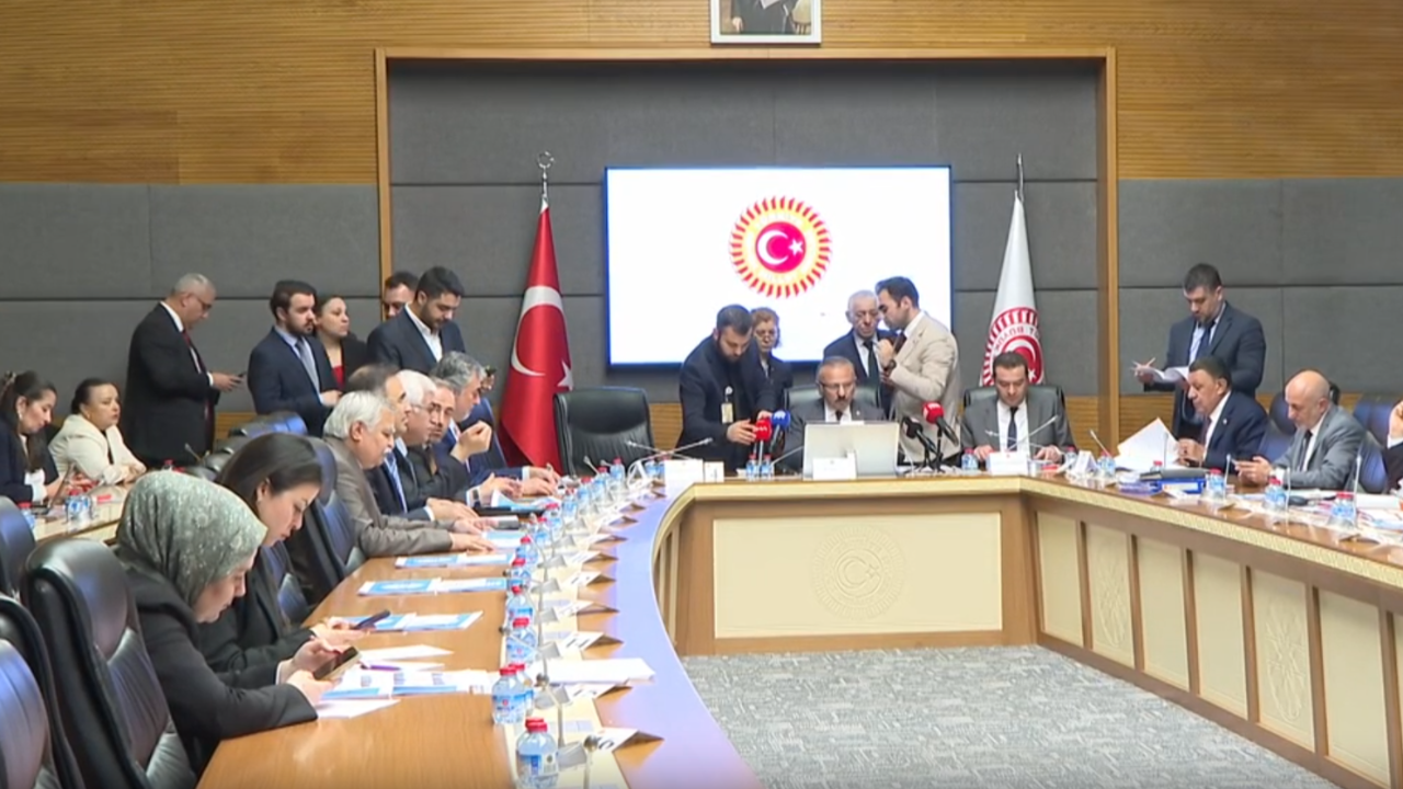 TBMM komisyonunda çarpıcı değerlendirme: "Yaşananları bireysel şiddet olarak algılarsanız hata edersiniz"