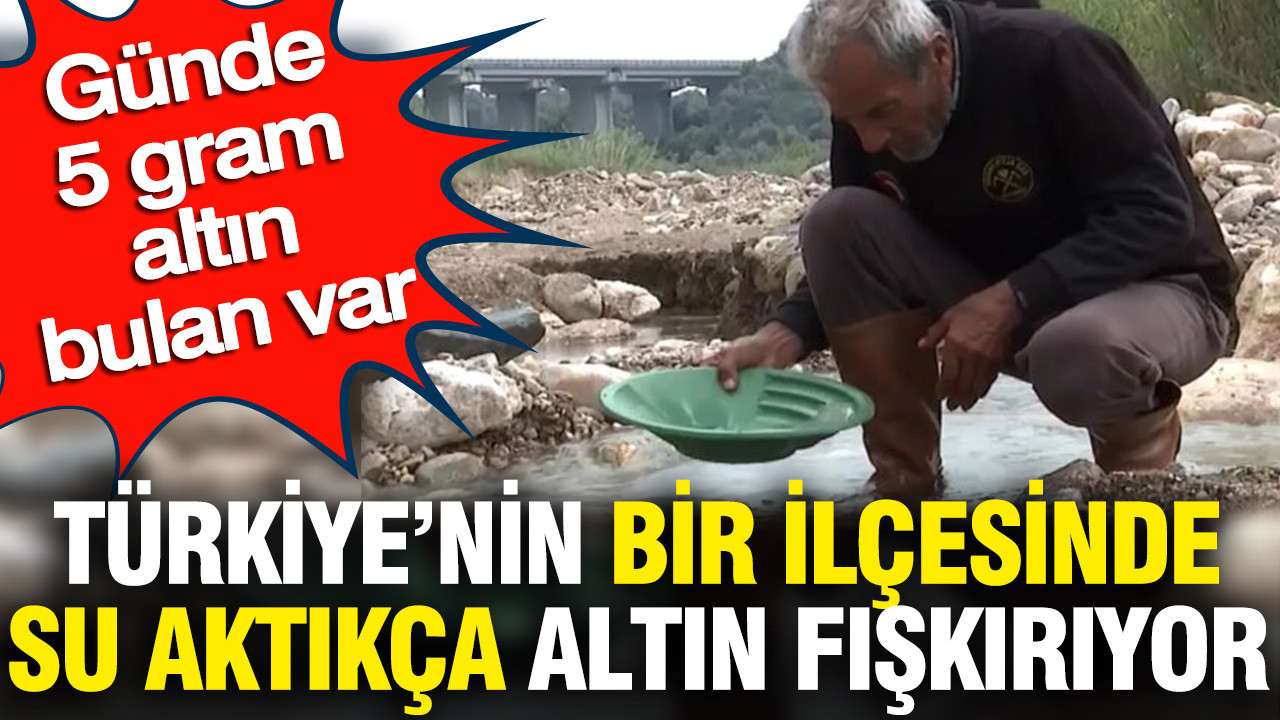 Türkiye'nin bir ilçesinde su aktıkça altın fışkırıyor: Günde 5 gram altın bulan var