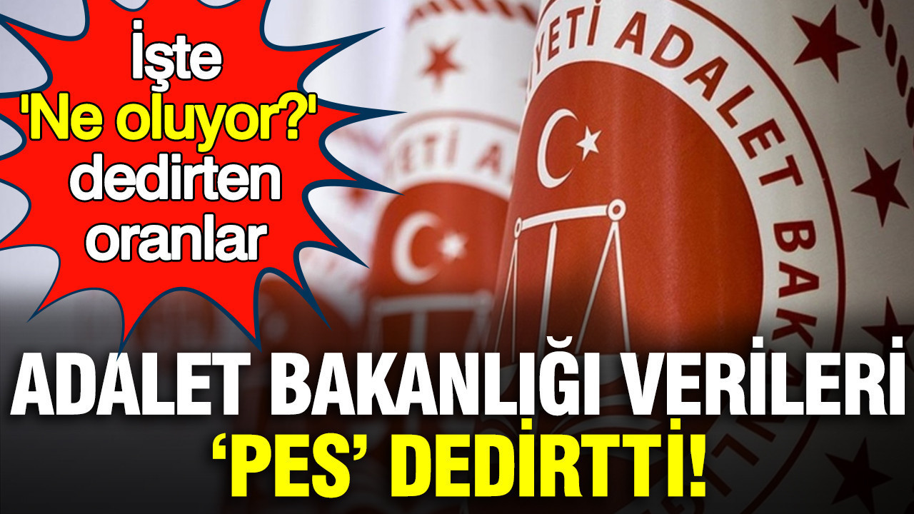 Adalet Bakanlığı verileri 'pes' dedirtti: İşte 'Ne oluyor Türkiye'de?' dedirten oranlar