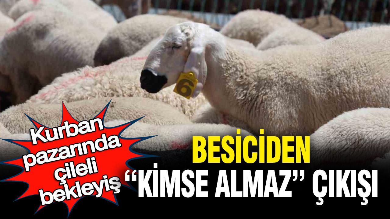 Kurban pazarında çileli bekleyiş: Besiciden “kimse almaz” çıkışı