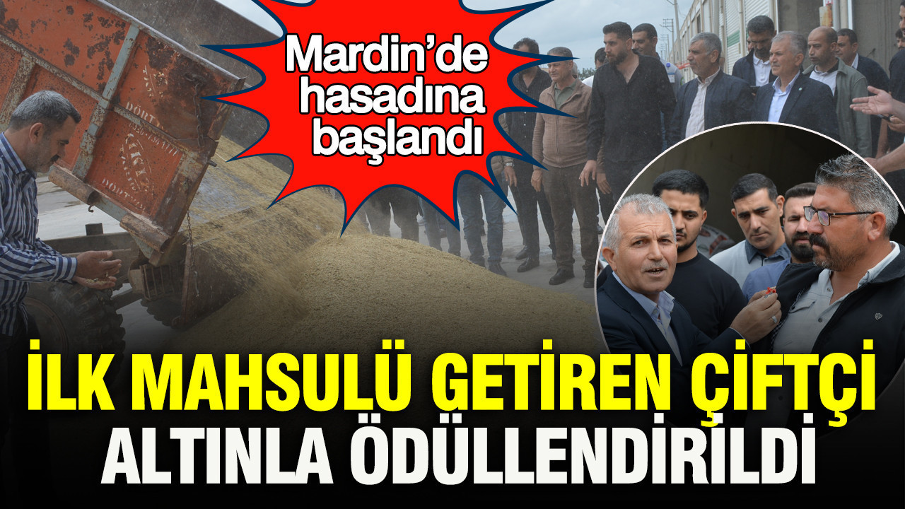 Mardin’de hasadına başlandı: İlk mahsulü getiren çiftçi altınla ödüllendirildi