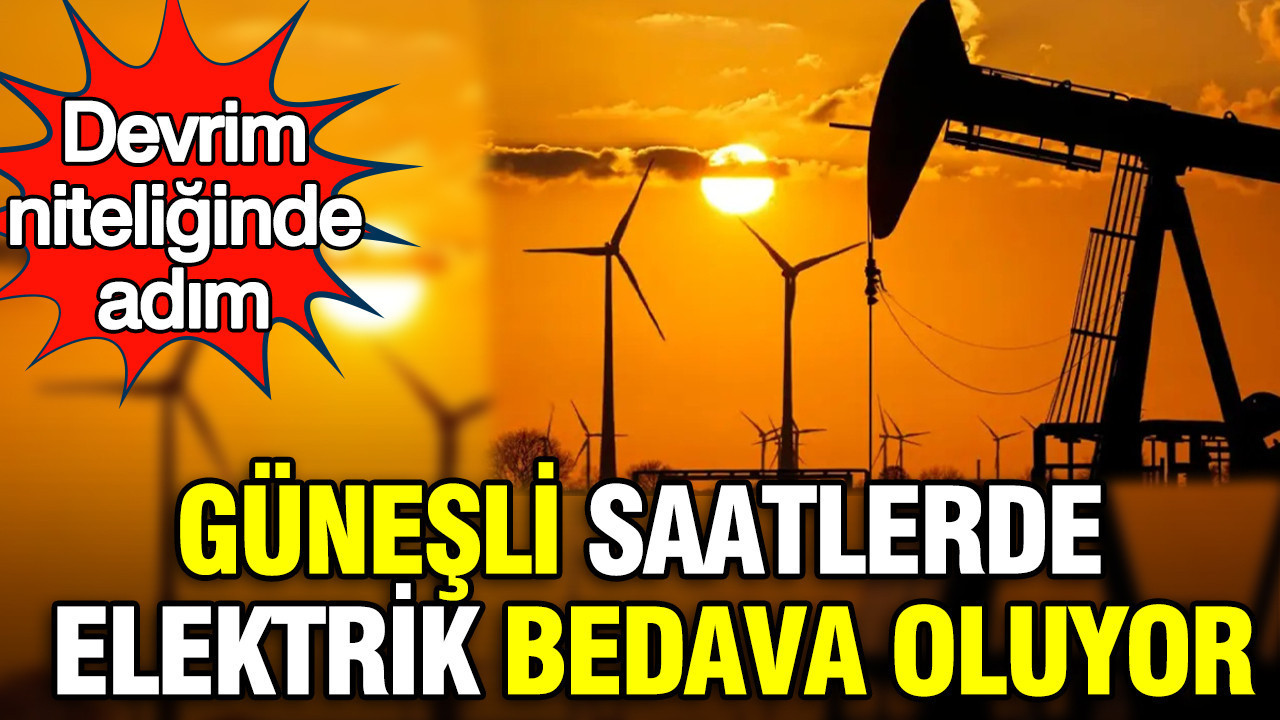 Romanya'da devrim niteliğinde adım: Güneşli saatlerde elektrik bedava oluyor