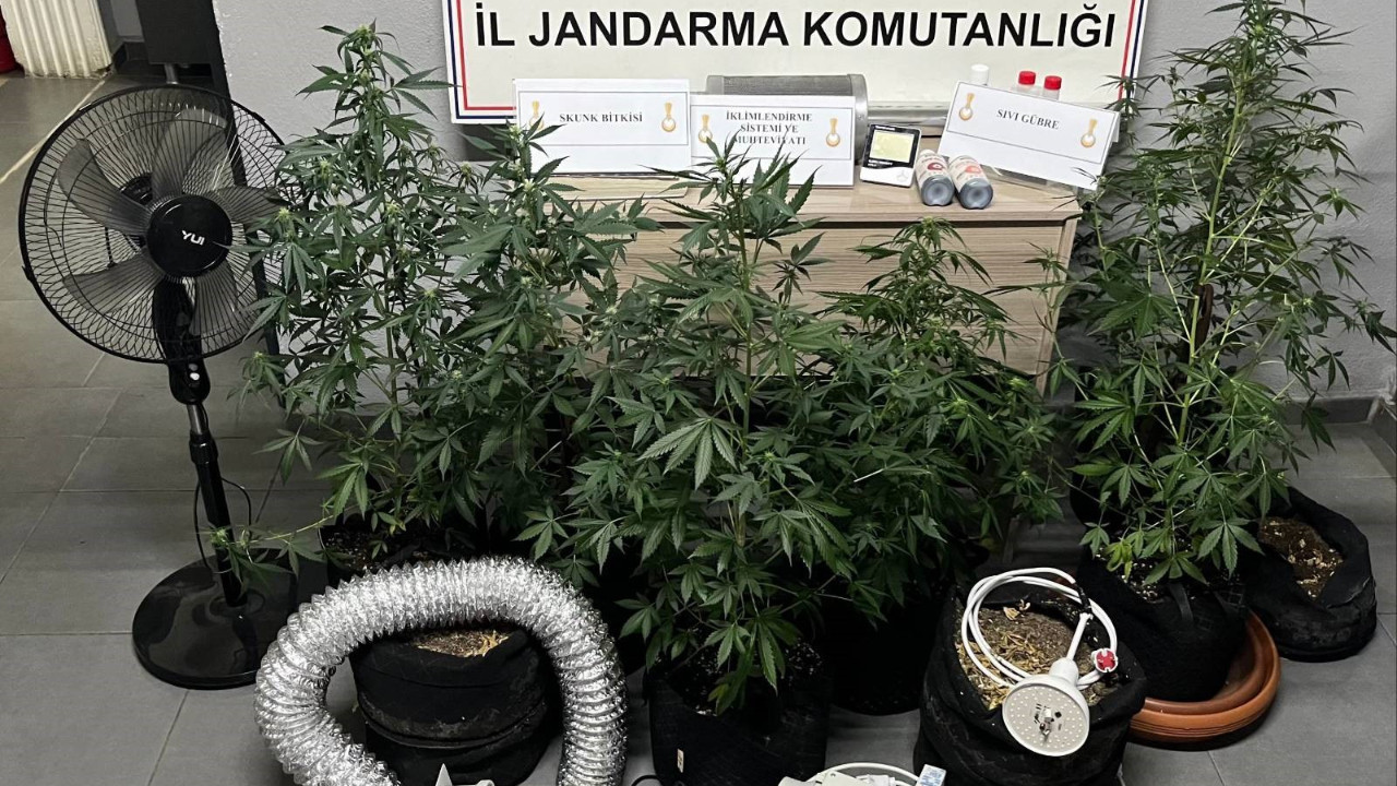 Düzce’de narkotik operasyonu: Kenevir ve özel ekipman ele geçirildi