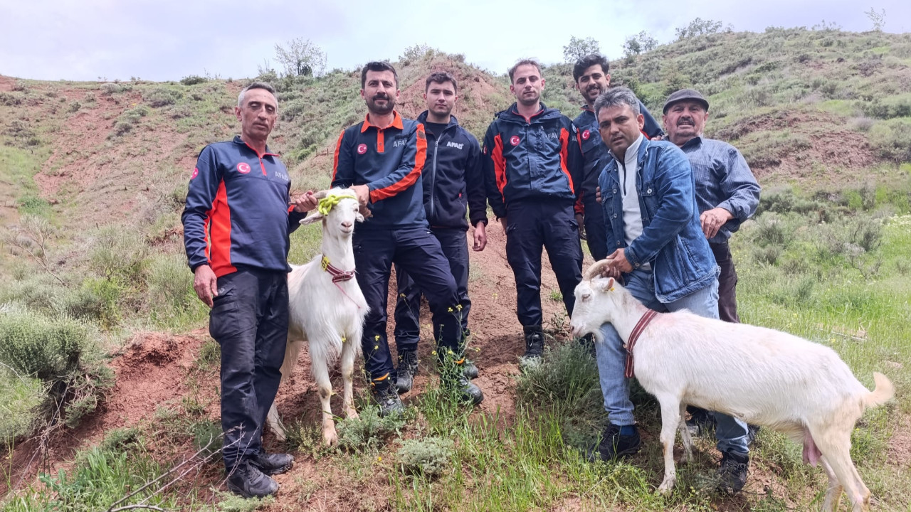 Keçiler kayalıklarda mahsur kaldı