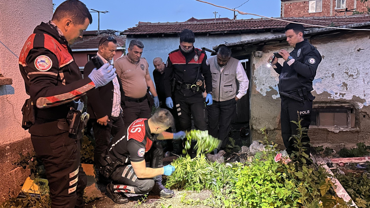 Polisten kaçtı, bahçesinden Hint keneviri çıktı