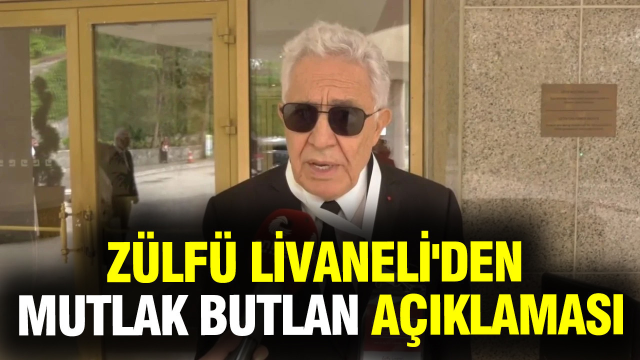 Zülfü Livaneli'den mutlak butlan açıklaması