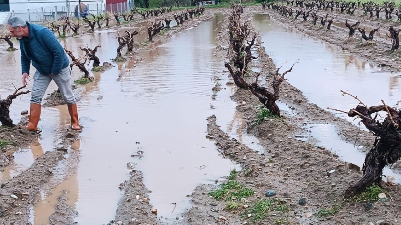 Elazığ'da dolu yağışı sonrası tarım arazilerinde hasar tespiti
