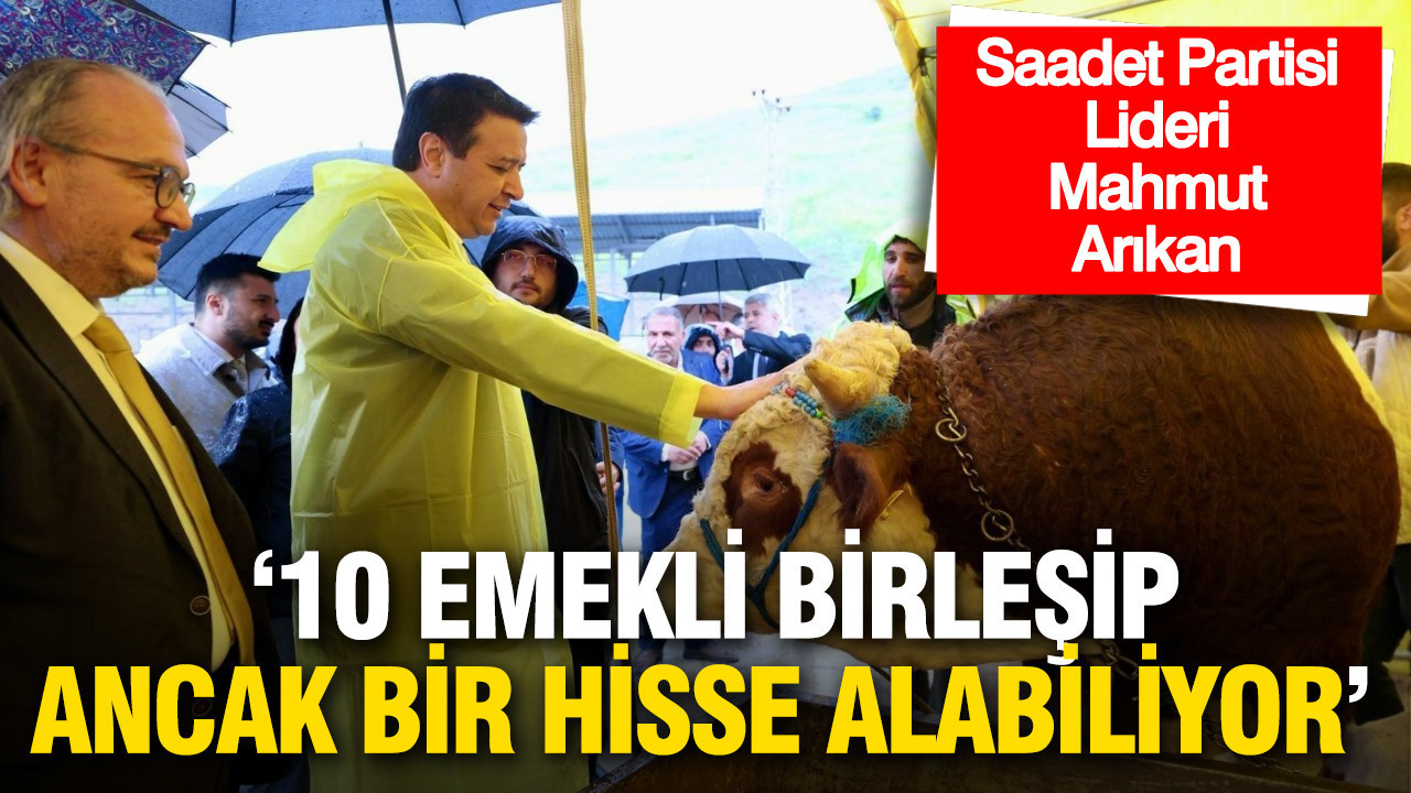 Mahmut Arıkan: 10 emekli birleşip ancak bir hisse alabiliyor