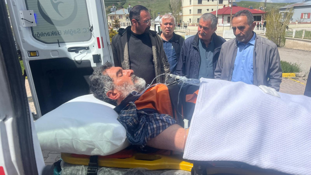 Mantar toplarken ayı saldırdı