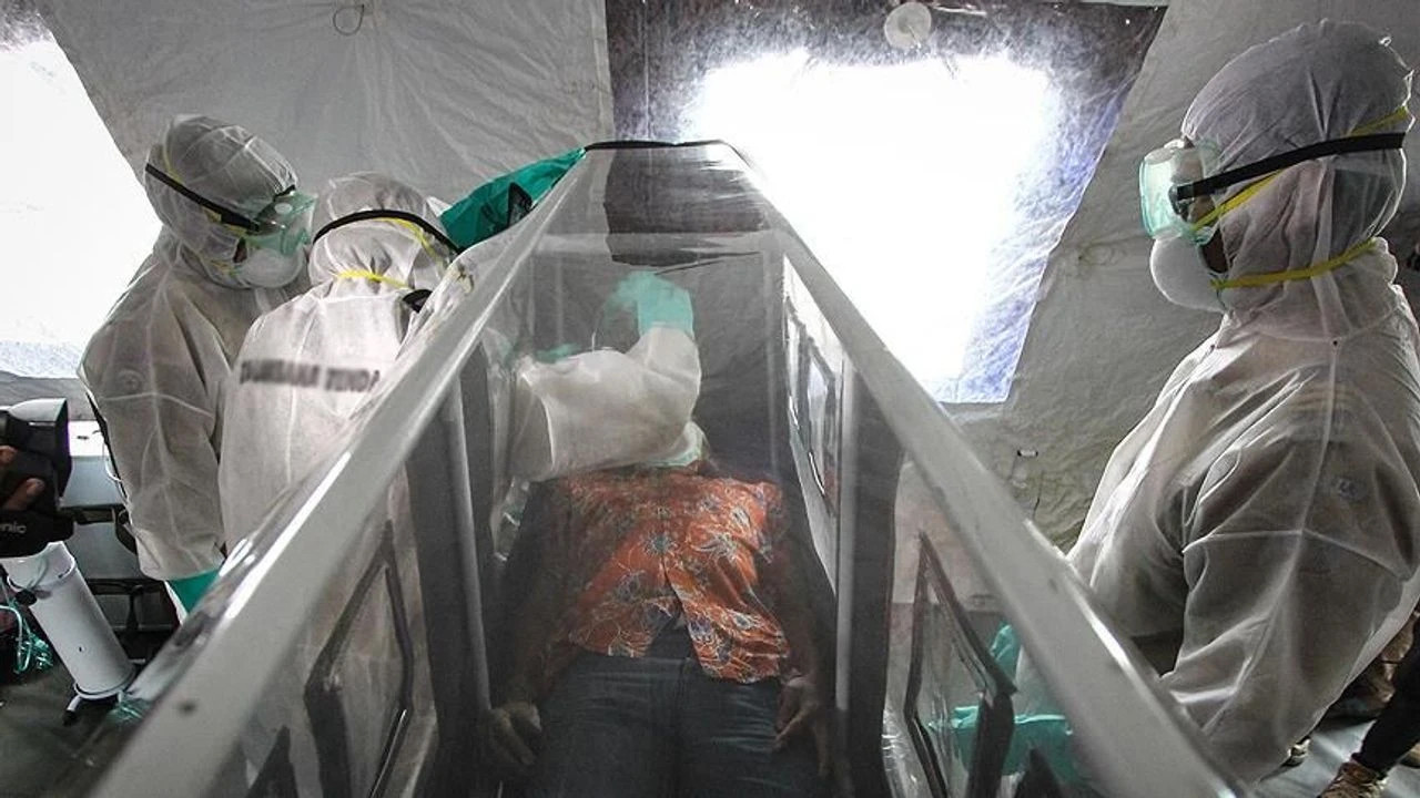 Nijerya, Ebola virüsü tehdidine karşı alarma geçti