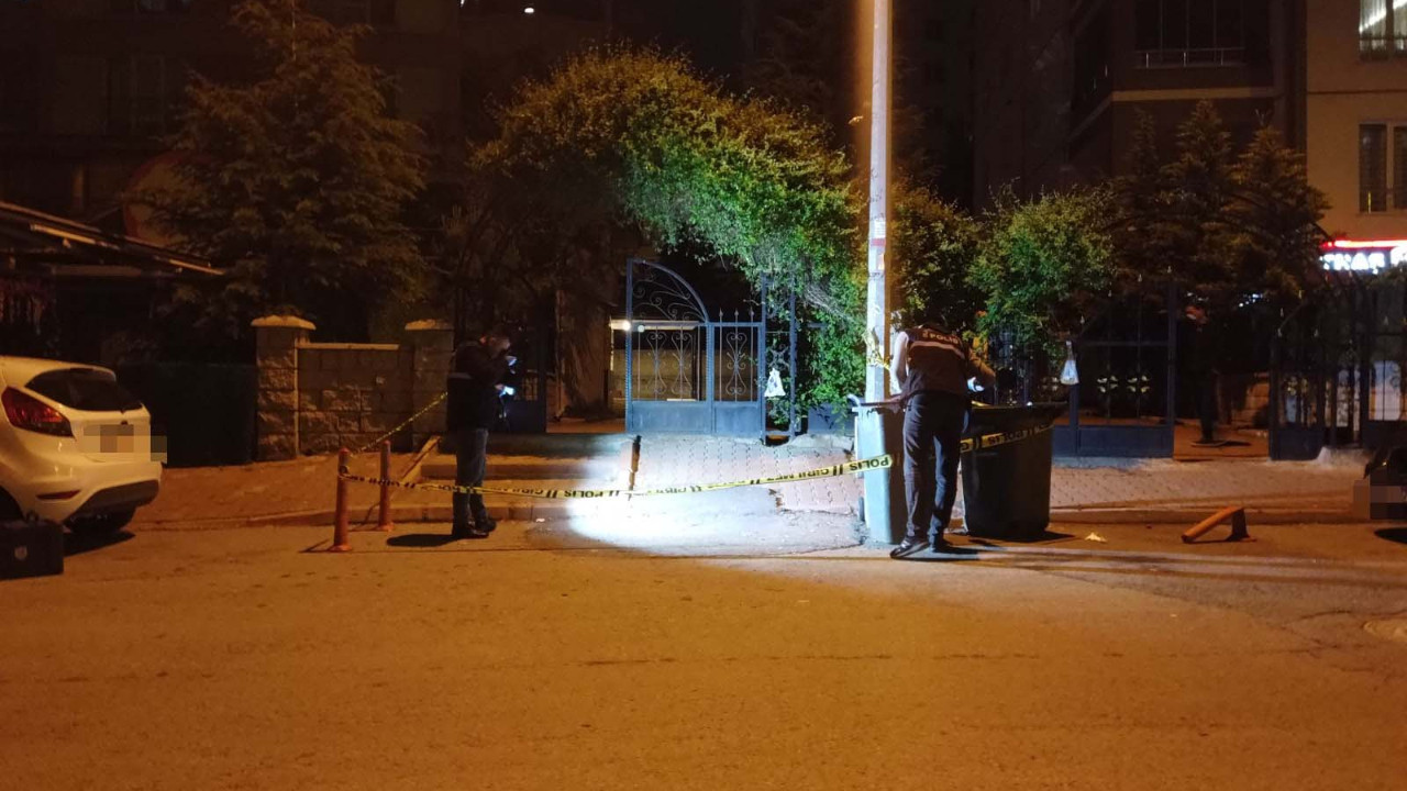 Kadını darbeden şüpheli 2 kardeşi bıçakladı