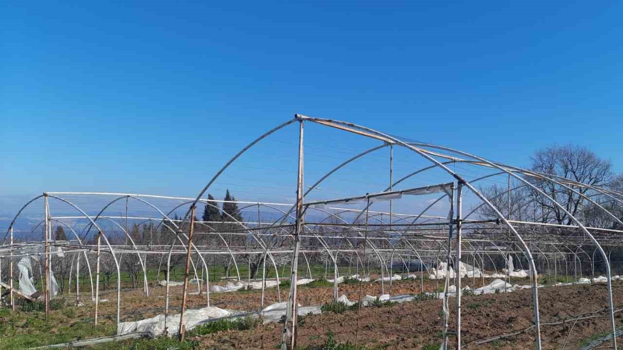 Seraları zarar gören üreticilere destek