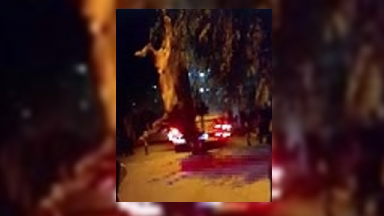İzmir'de dereye düşen kurbanlık dana vinçle kurtarıldı