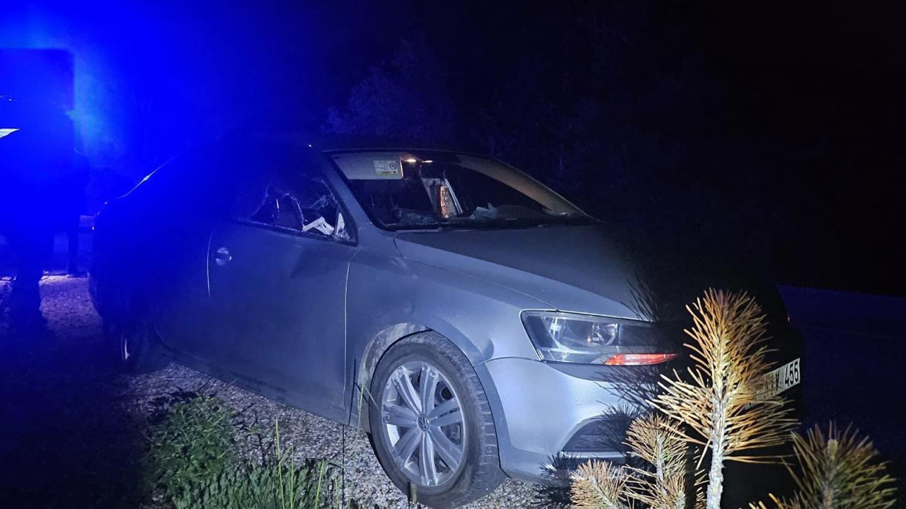 Bilecik’te otomobili geyiğe çarpması sonucu 2 kişi yaralandı