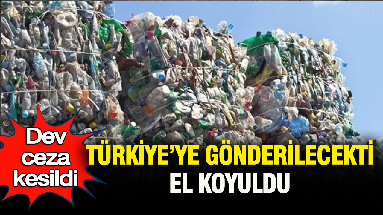 Dev ceza kesildi: Türkiye’ye gönderilecekti, el koyuldu