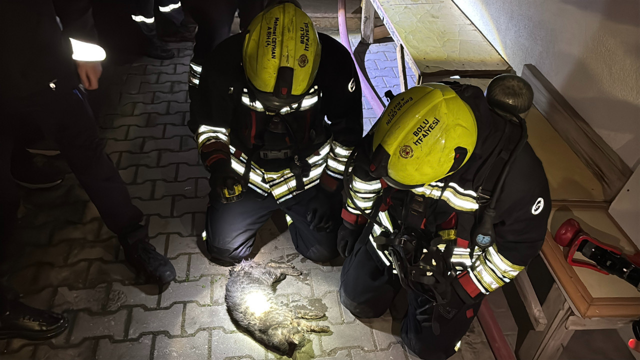 İtfaiyenin kalp masajı yaptığı kedi kurtarılamadı