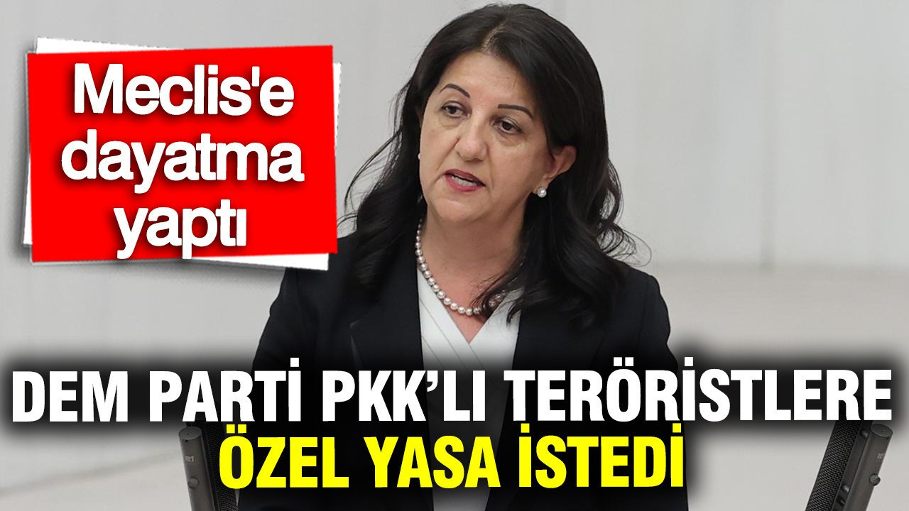 Pervin Buldan PKK'lı teröristlere özel yasa istedi: Meclis'e dayatma yaptı