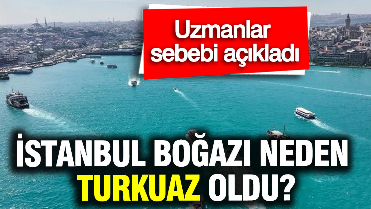 İstanbul Boğazı neden turkuaz oldu? Uzmanlar nedeni açıkladı