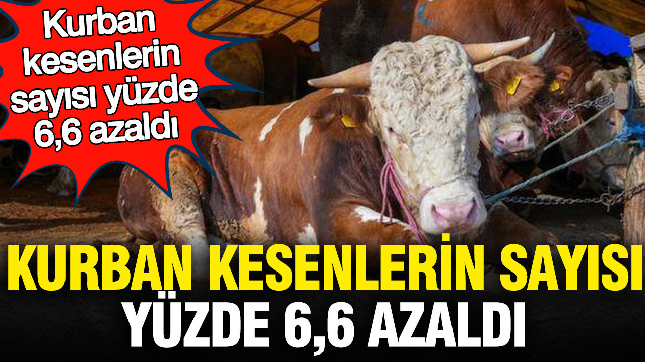 Kurban kesenlerin sayısı yüzde 6,6 azaldı: İşte gerçek gündem