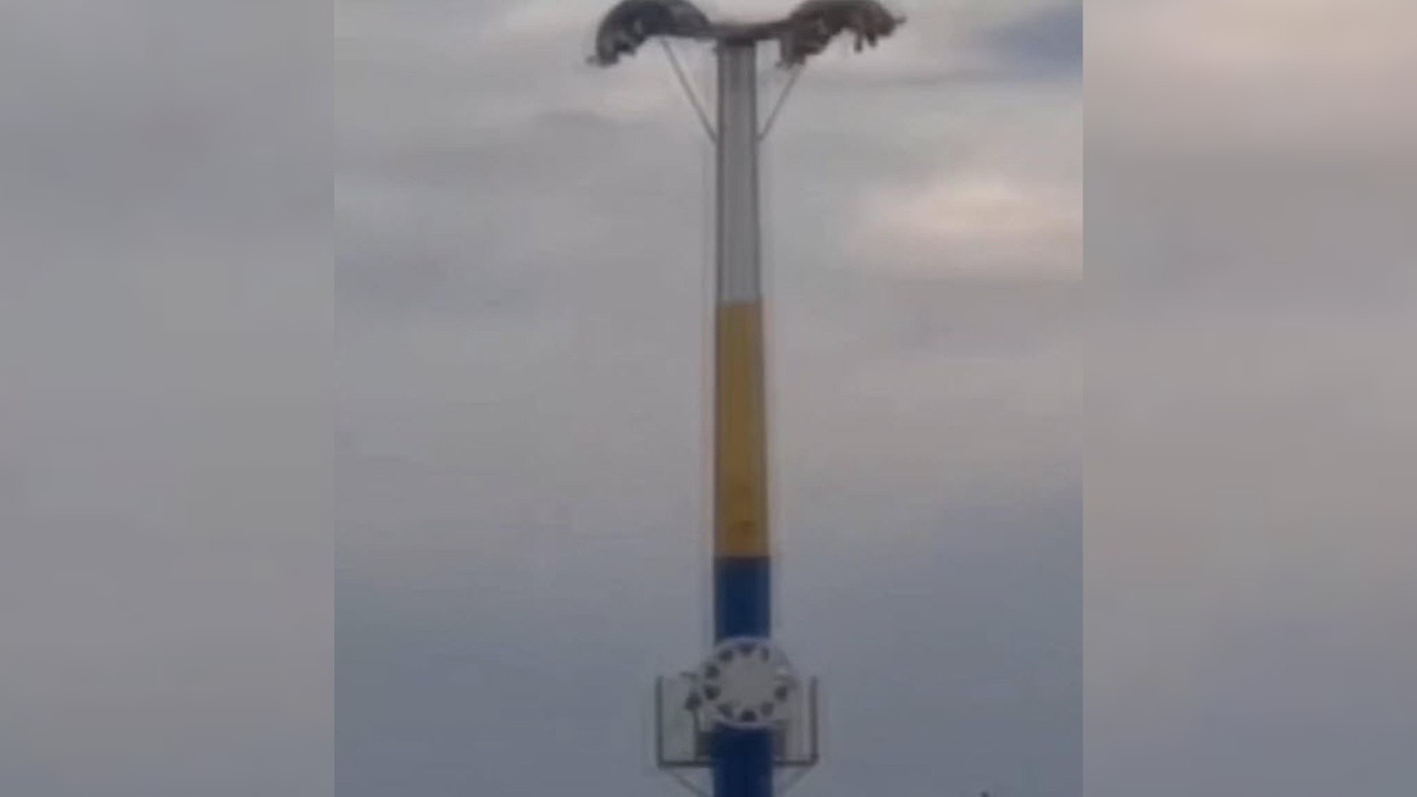 Lunaparkta oyuncak arızalandı: Baş aşağı mahsur kaldılar