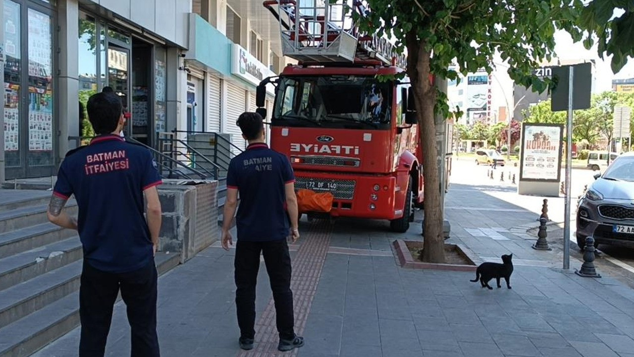 Batman'da vefakar kedi arkadaşını yalnız bırakmadı