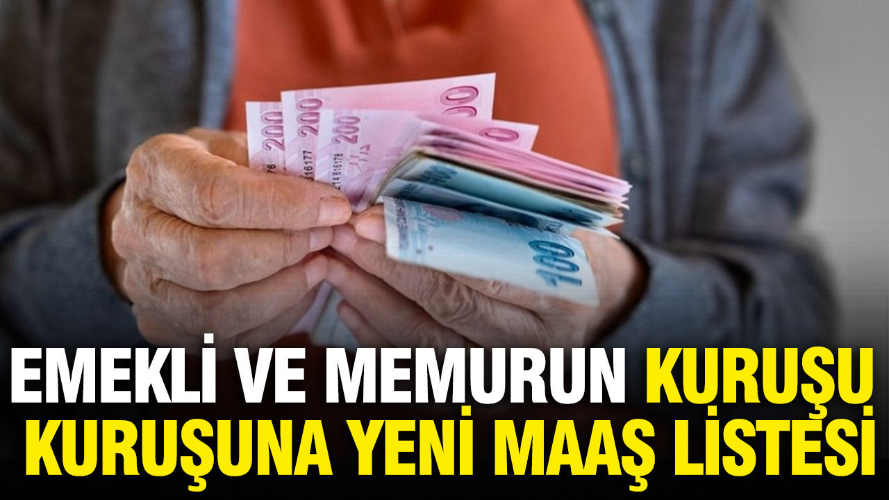 Emekli ve memurun kuruşu kuruşuna yeni maaş listesi