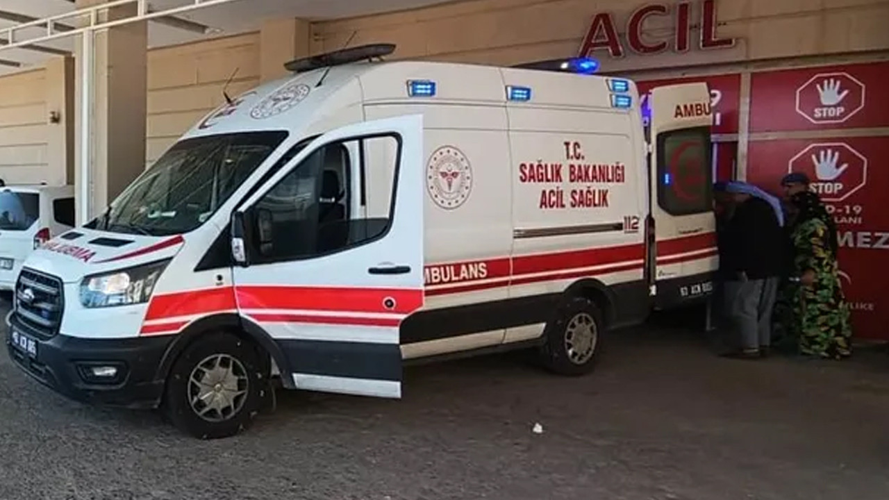 Şanlıurfa’da yılanı vurmak isterken 5 kişiyi yaraladı