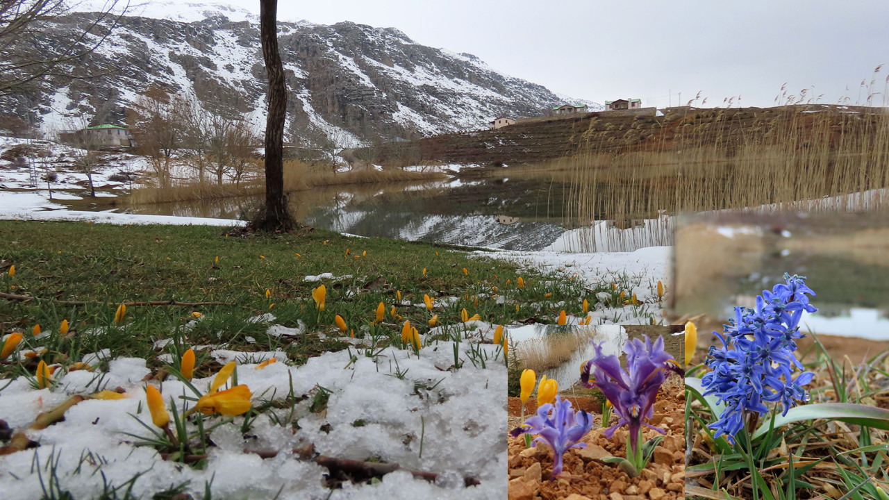Adeta bir masal diyarı: İki şehri birleştiren rengarenk cennet