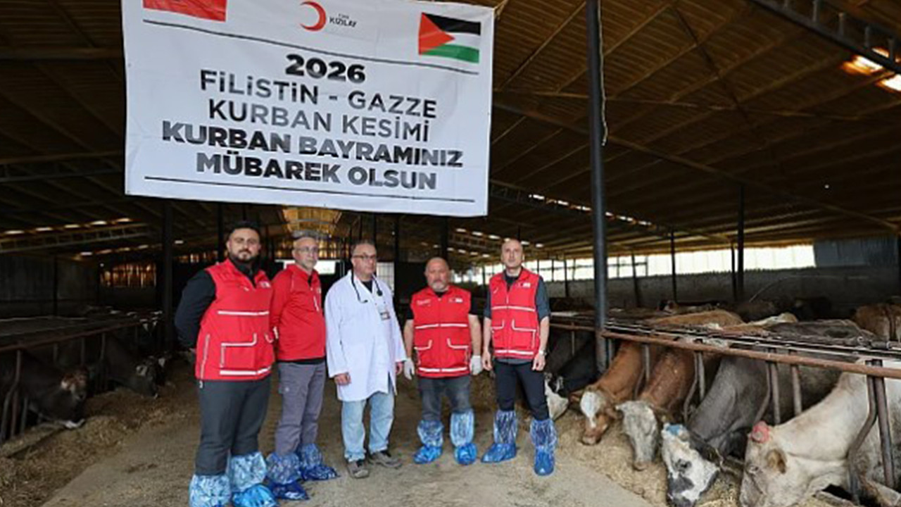 Türk Kızılay'ın vekaletle kurban kesimleri sürüyor