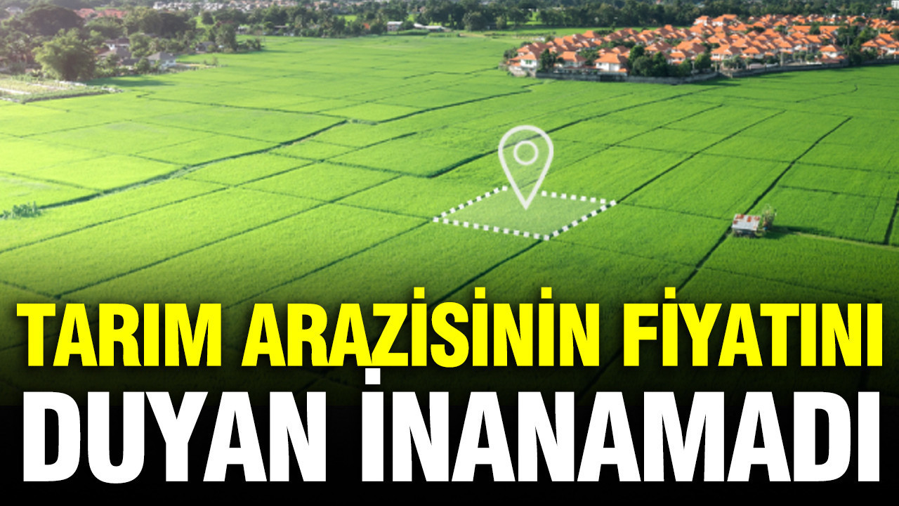 49.2 milyon TL’ye tarım arazisi satışa çıkarıldı: Detayları belli oldu