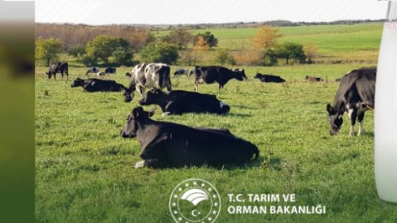 Bakan Yumaklı'dan Dünya Süt Günü mesajı