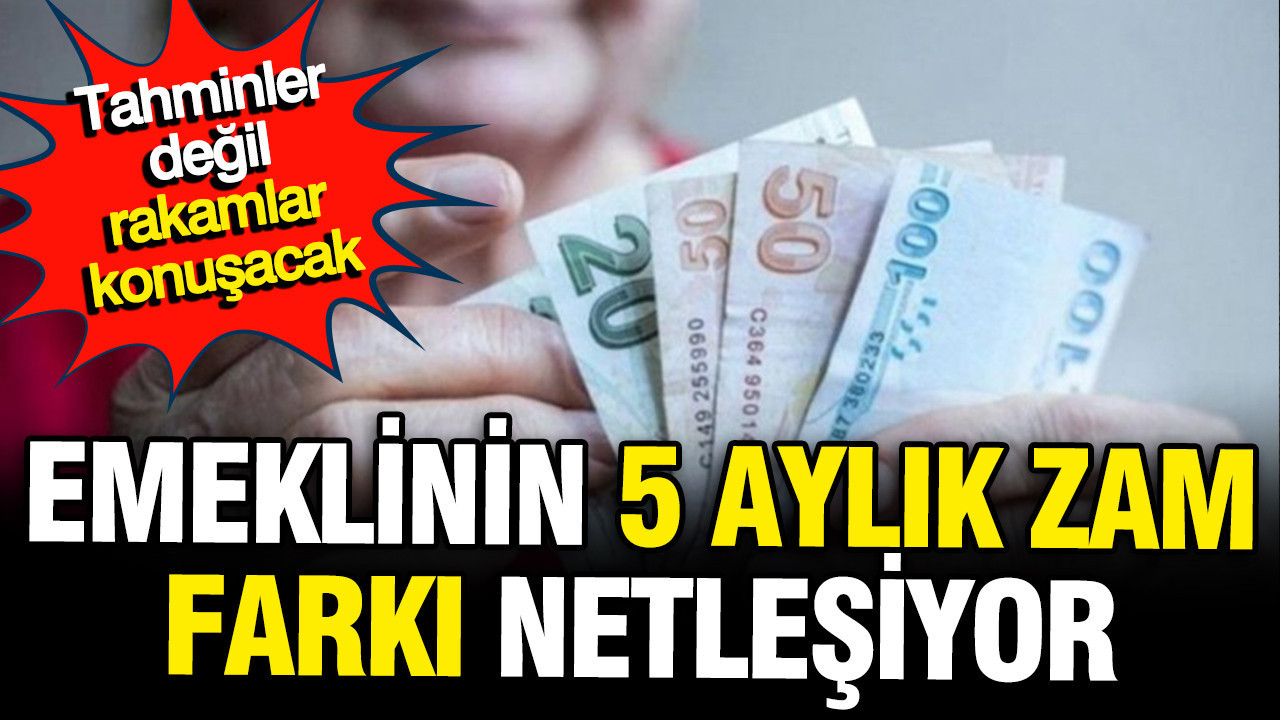 Tahminler değil, rakamlar konuşacak: Emeklinin alacağı zam cuma günü netleşiyor