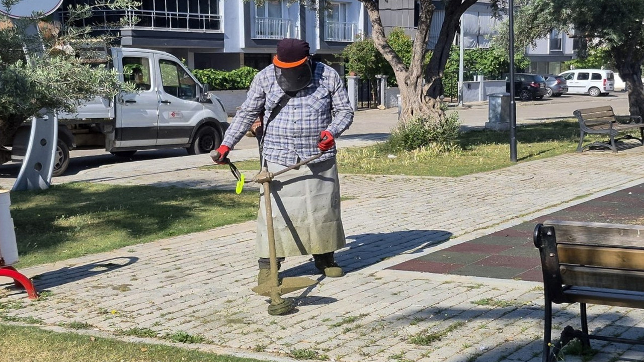 Efeler’de yeşil alanlarda yaz temizliği