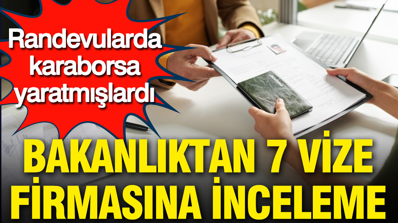 Bakanlık 7 vize firmasına inceleme başlattı