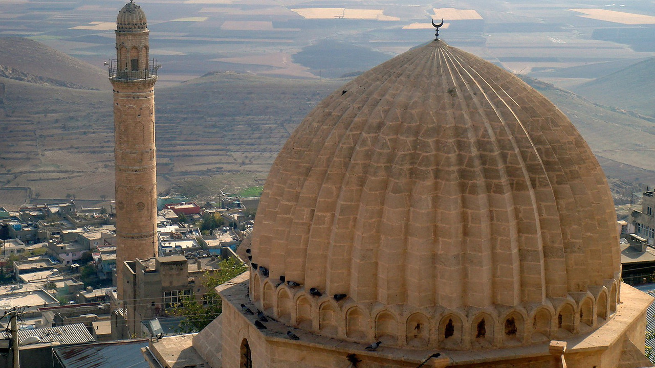 Mardin'de camide 450 fidanlık ağaçlandırma