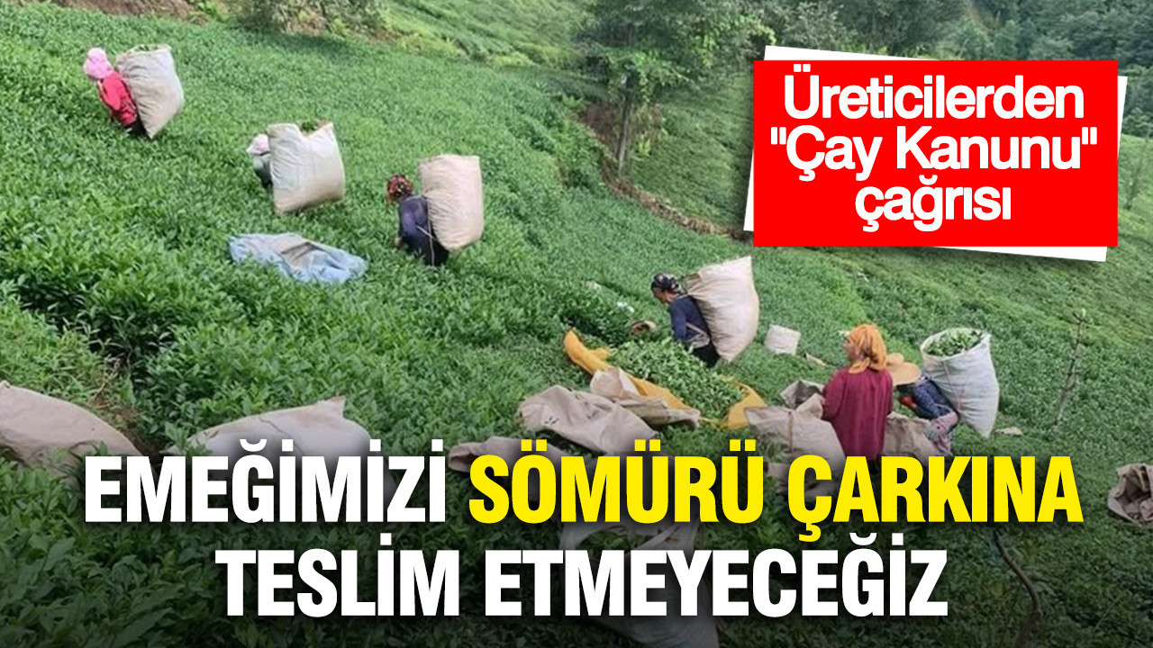 Karadeniz Bölgesi Çay Üreticileri'nden tepki: Emeğimizi, çayımızı ve geleceğimizi bu sömürü çarkına teslim etmeyeceğiz