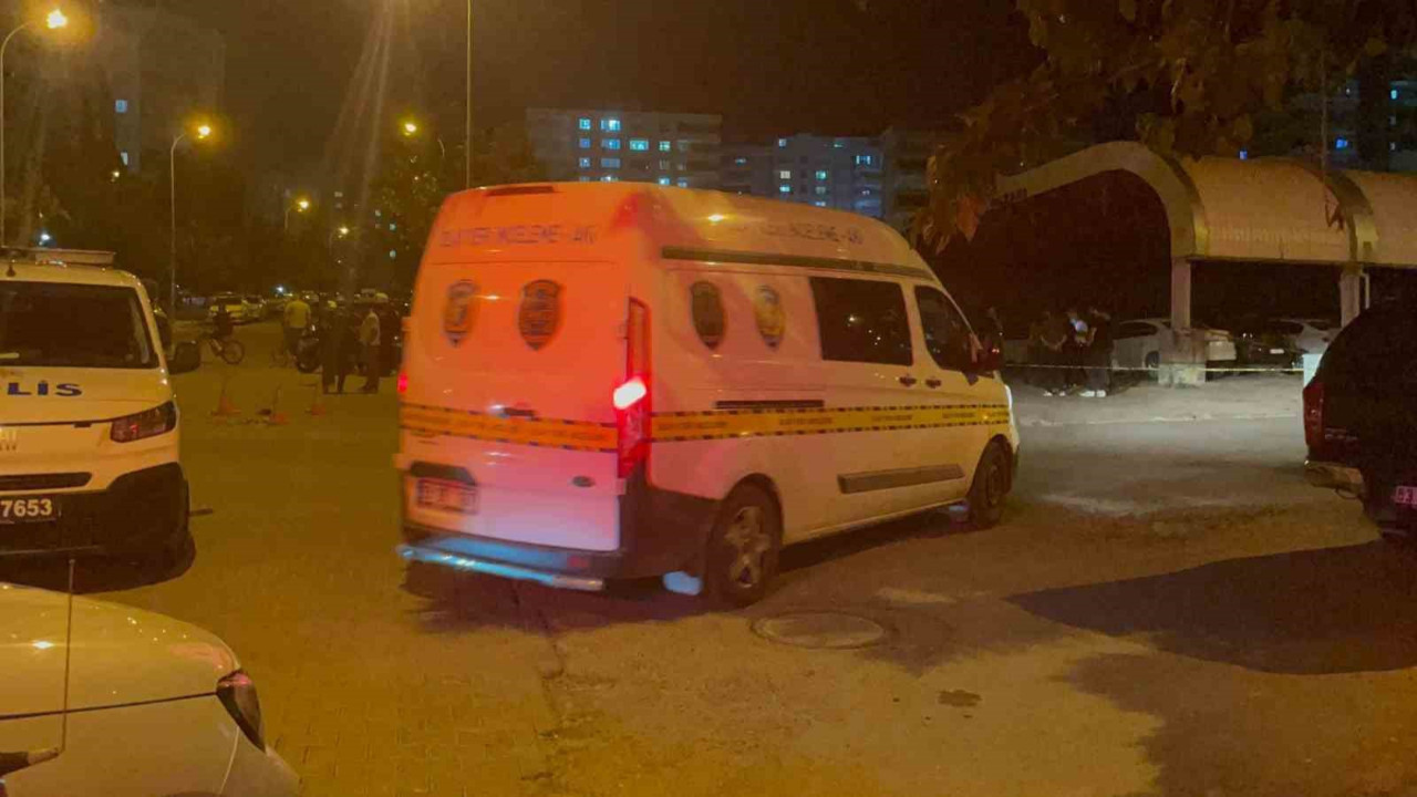 Kavga acı sonla bitti: Anne öldü, oğlu yaralandı